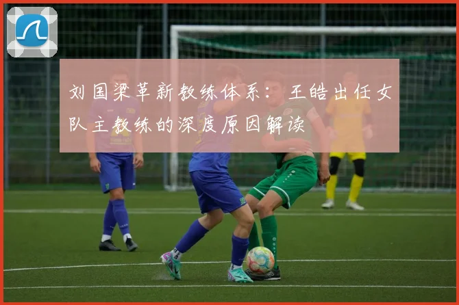 刘国梁革新教练体系：王皓出任女队主教练的深度原因解读