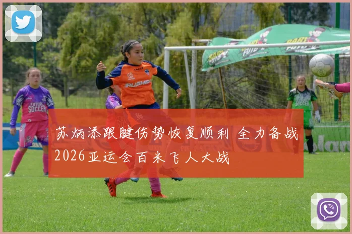 苏炳添跟腱伤势恢复顺利 全力备战2026亚运会百米飞人大战