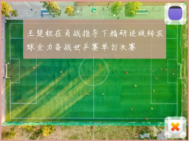 王楚钦在肖战指导下精研逆旋转发球全力备战世乒赛单打决赛